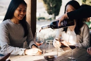 Fra Firenze: Vingårdstur i Chianti-åsene med smaksprøver