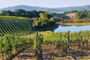 From Florence: Chianti Wine Tastings at Sunset Day Trip