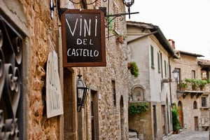 Z Florencji: Chianti Wine Tour z przewodnikiem-kierowcą