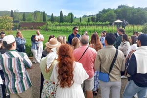 Da Firenze: tour del Chianti con degustazione di vini