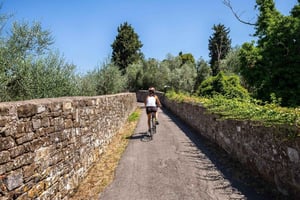 Florence: Tuscany Bike Tour with Wine & Olive Oil