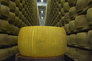 Emila-Romagna: Parmigiano, Prosciutto, Wine & Balsamic Tour