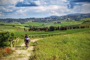 Från Florens: Toscana på cykel med lunch och vinprovning