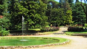 Giardini di Bobolino - Bobolino Gardens