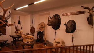La Specola Museum