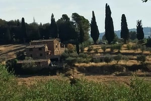 Excursions privées à Pise et Florence depuis Livourne