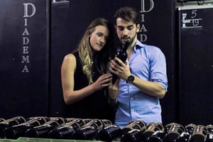 Firenze: fantastico tour del Chianti e dell'olio d'oliva con pranzo