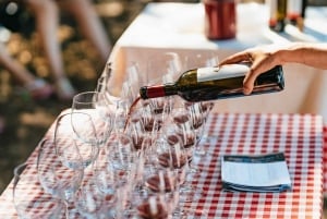 From Florence: Val D'Orcia Tour with Wine Tasting