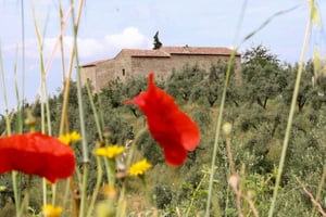 Vinci: Ingresso alla Casa Natale di Leonardo