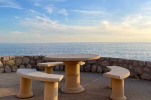 From Nice or Cannes: Private Guided Tour to Grasse & St-Paul