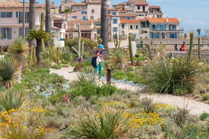 Antibes' Hidden Gems: Walking Tour Alongside a Local Guide