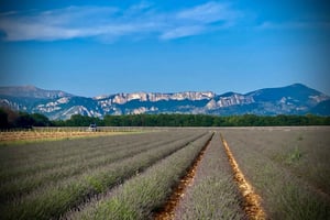 Experiencias turísticas de lujo a medida