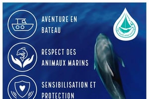 Marina Baie des Anges boat trip to the Pelagos Sanctuary