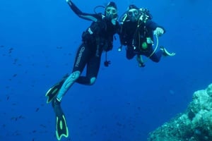 Фрежюс: дайвинг в Порт-Фрежюсе с инструктором