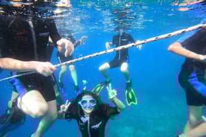 Fréjus: experiencia de snorkel en el puerto de Fréjus