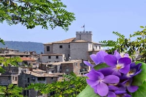 Riviera Francesa: Passeio de meio dia pelo campo saindo de Nice