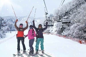 Partindo de Cannes ou Nice: Excursão de um dia de esqui nos Alpes