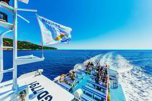 From Nice: Round-Trip Transportation to Saint Tropez by Boat