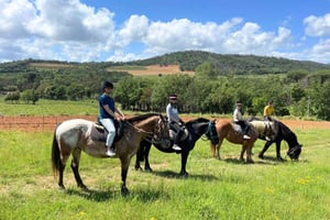 Grimaud: Paseos a Caballo y Cata de Vinos en el Bosque de Maures