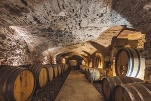 La Londe-les-Maures: Half-Day Wineries Tour with Tastings