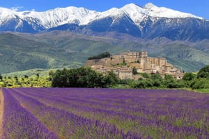 Nicea: wycieczka do przełomu Verdon i pól lawendowych