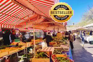 Città vecchia di Nizza e collina del castello: Tour guidato a piedi della cultura di Nizza