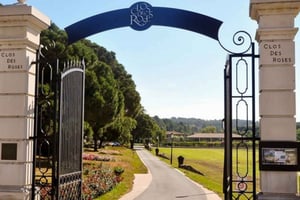 Nice: degustação de vinhos Clos des Roses e almoço