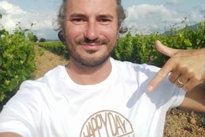 Provences rikdom på én dag - en privat tur som kan tilpasses