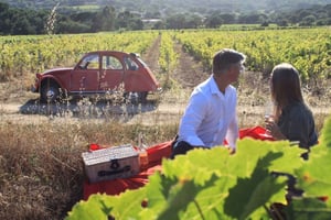 Saint-Tropez: Vintage Car Wine Tour