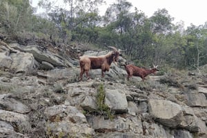 Vésubie Valley Day Trip from Nice