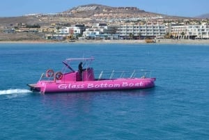 Caleta de Fuste: Glass-Bottom Boat Tour