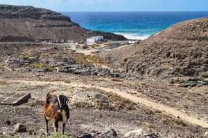 Калета-де-Фусте: индивидуальная экскурсия по неизведанным маршрутам