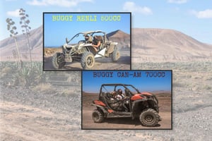 Fuerteventura: Dünenbuggy Tour im Norden Fuerteventuras