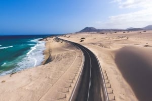 フェルテベントゥラ島：ミニバスで行く島ツアー