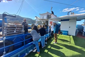 Discovering Vigo ria and mussels in the traditional boat