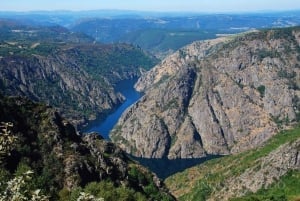 Fra Santiago: Utflukt til Ribeira Sacra og Ourense