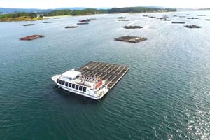 Z Santiago: wycieczka prywatna do Rias Baixas z rejsem łodzią