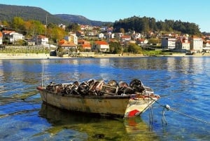 Fra Santiago: Rías Baixas Galicia Sjømat- og vindagstur