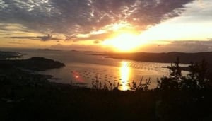 Mesón Coto del Águila