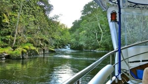 Pleasure Trips with Adega Algueira