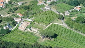 Quinta de Couselo