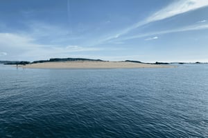 Ría de Arousa: Daytime or Sunset Sailboat Cruise with drinks