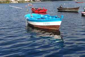 From Santiago: Tour Rias Baixas, Isla de Arousa y Combarro