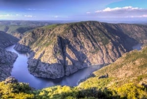 Desde Santiago: Ribeira Sacra Viaje de Historia y Arte con Crucero
