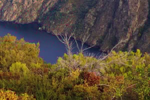 Ribeira Sacra & Ourense Day Tour with Catarmaran Cruise