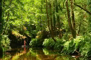 SUP Tours (P.N.P.G. - National Park)