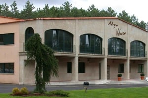 Vierailu Adegas Valmiñorin viinitilalla ja maistiaiset