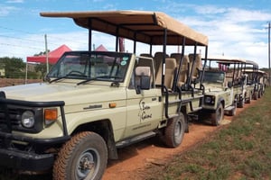 Reserva de caza Bon: safari