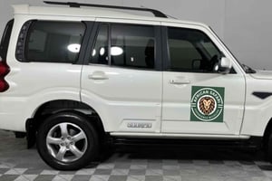 Kapsztad: 4-dniowa wycieczka Garden Route Pvt Tour z zakwaterowaniem