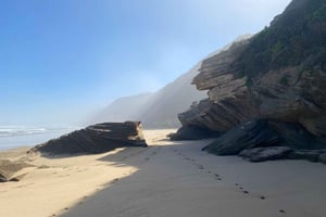 Au départ de Stellenbosch : circuit de 3 jours sur la Garden Route avec safari